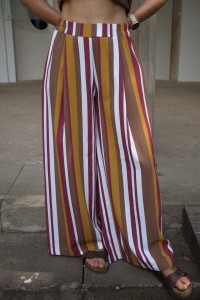DSC08647 (2).jpg